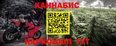 сатива Моздок
